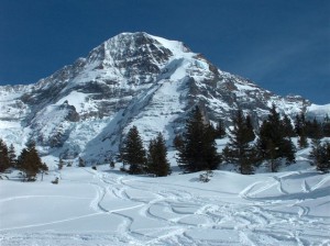 Grindelwald 03.2006 019 