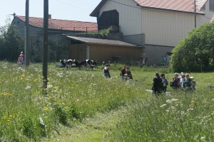 100523-145455